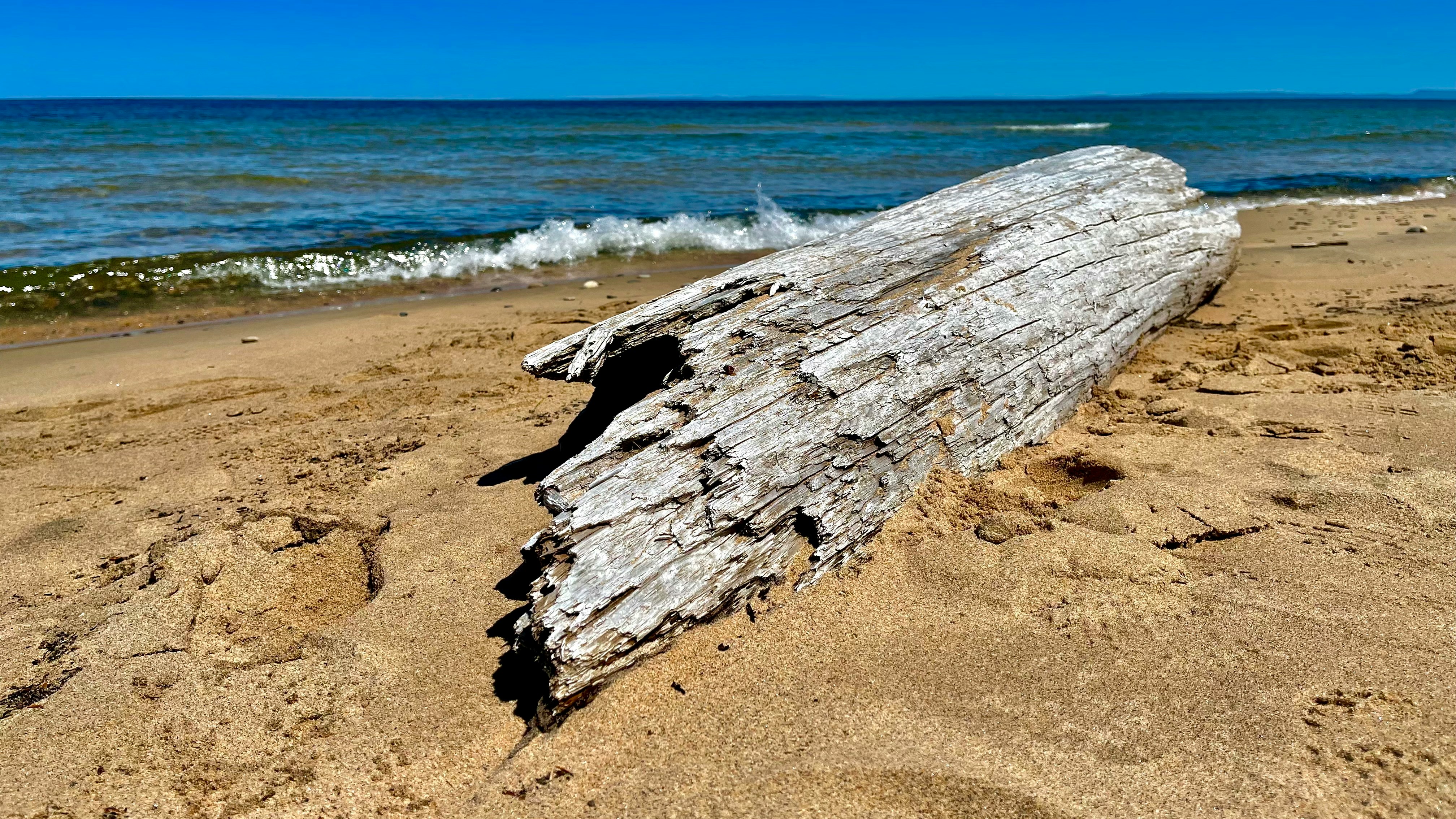 Serene ocean view with driftwood